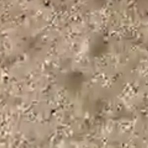 Meet your Posher, Barik